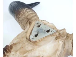 Online MCW Deko Schädel Longhorn