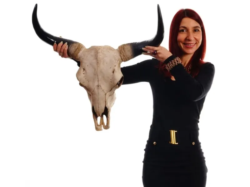 Clearance MCW Deko Schädel Longhorn Natur