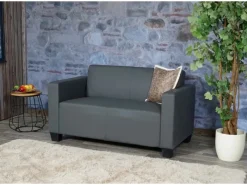 Outlet MCW 2er Sofa Moncalieri Kunstleder Dunkelgrau