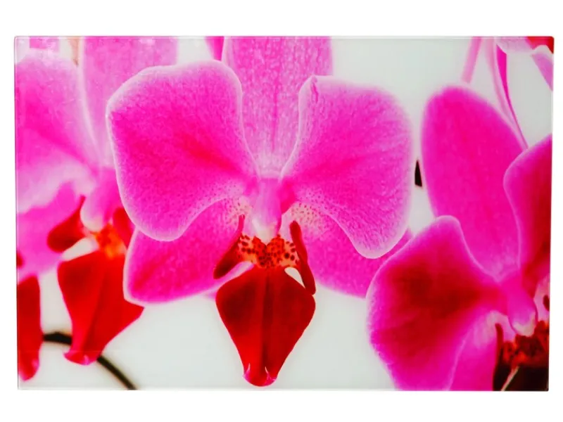 Clearance MCW Glasbild T117 40x60cm Orchidee