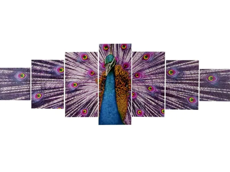 MCW Leinwandbild H375 XL Pfau 7-tlg.