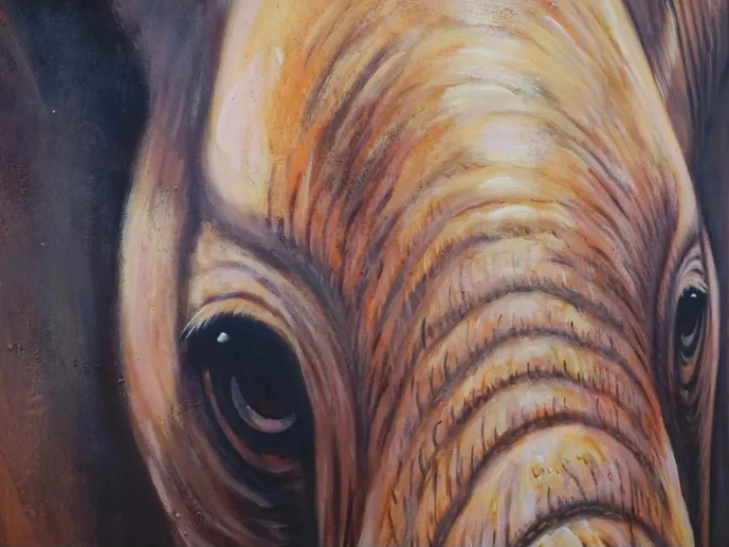 MCW Ölgemälde Nahaufnahme Elefant Handgemalt
