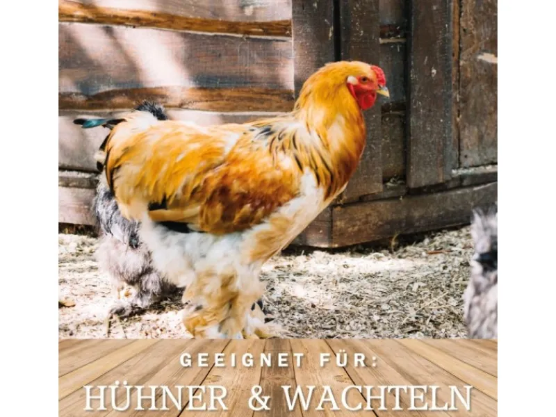 MeineHennen KÖRNER VITAL 30 Kg PREMIUM Hühnerfutter Wachtelfutter mit Muschelschalen Alleinfuttermittel