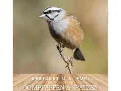 MeinWildvogel WILDVOGEL VITAL BASIC 15 Kg Vogelfutter Streufutter für Vögel Ganzjahresfutter und Perfekt für Kleine und Große Gartenvögel