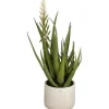 Sale Mica Decorations Aloe Vera Grün Höhe 58 cm Ø 38 cm