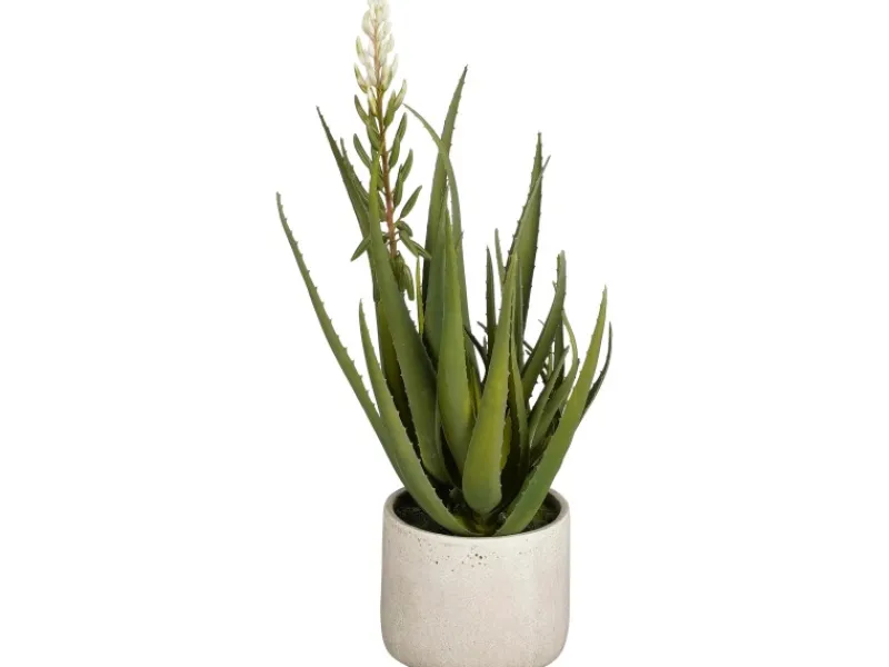 Sale Mica Decorations Aloe Vera Grün Höhe 58 cm Ø 38 cm