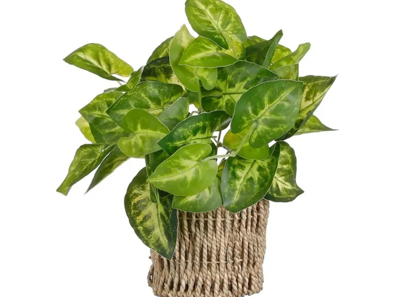 Mica Decorations Kunstpflanze Scindapsus im Korb Ø 12 cm x 33 cm