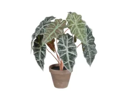 Outlet Mica Decorations Kunstpflanze Alocasia im Blumentopf Stan Ø 36 cm x 44 cm Grün