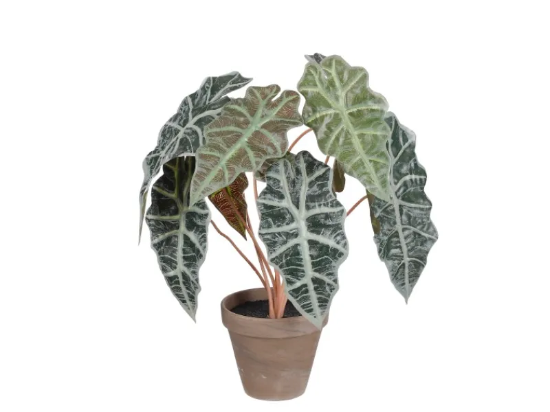 Outlet Mica Decorations Kunstpflanze Alocasia im Blumentopf Stan Ø 36 cm x 44 cm Grün