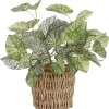 Mica Decorations Kunstpflanze Begonie im Korb Ø 12 cm x 33 cm