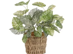 Mica Decorations Kunstpflanze Begonie im Korb Ø 12 cm x 33 cm