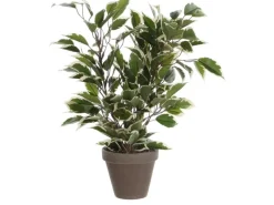 Mica Decorations Kunstpflanze Ficus Natasja in Topf Grün-Weiß H 40 cm, Ø: 30 cm