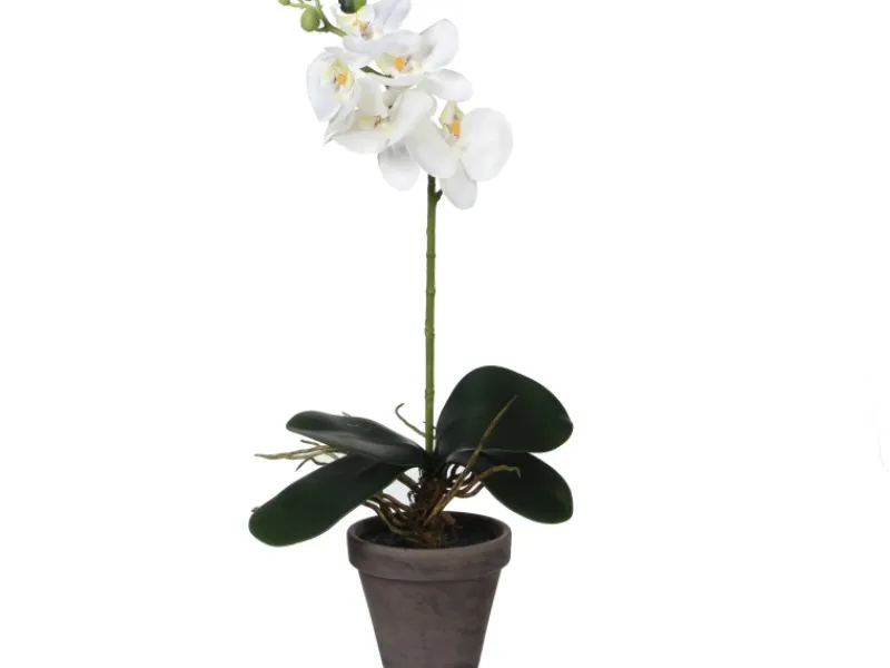 New Mica Decorations Kunstpflanze Phalaenopsis im Topf Ø 13 cm x 48 cm Weiß