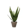 Mica Decorations Kunstpflanze Aloe Vera im Blumentopf Stan Ø 16 cm x 30 cm Grün