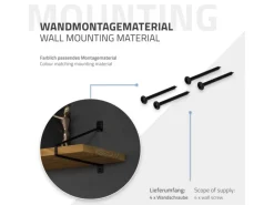 ML-Design 4 Stück Regalhalterung 265 mm aus Stahl Haarnadel Schwebe
