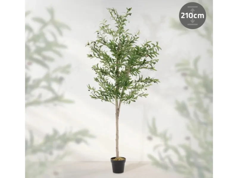 ML-Design Künstlicher Olivenbaum im Topf 210cm Groß mit Naturholzstamm