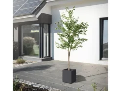 ML-Design Künstlicher Olivenbaum im Topf 210cm Groß mit Naturholzstamm