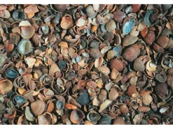 New WECO Muschel-Schalen Bunt 8 mm - 16 mm 650 kg/ Big Bag