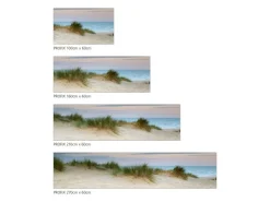 MySpotti Küchenrückwand Profix Cucina Dünenpanormama 100 x 60 cm Sanddüne