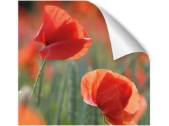 Myspotti Küchenrückwandfolie Mohn Selbstklebend 220 cm x 60 cm