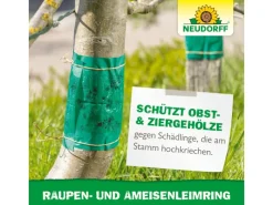 Discount Neudorff Raupen- und Ameisen-Leimring 3 m