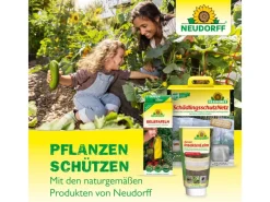 Discount Neudorff Raupen- und Ameisen-Leimring 3 m
