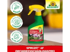 Neudorff Spruzit AF Orchideen Schädlingsfrei 250 ml