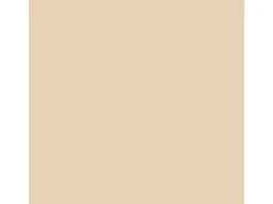 OBI Buntlack Spray RAL 9001 hochglänzend 150 ml