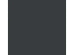 OBI Buntlack Spray WV RAL 7016 matt 150 ml