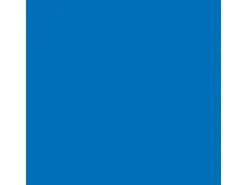 OBI Color Voll- und Abtönfarbe matt 500 ml