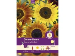 Pabst Keimkraft Sonnenblume Herbstschönheit Saatgut