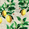 PPD Papierservietten Zitronenzweig 16,5 cm x 16,5 cm 20 Stück Grün-Gelb FSC®