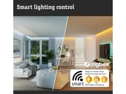 Paulmann Laterne Classic Plug & Shine Zigbee 3.0 IP44 RGBW+ 2 W Anthrazit