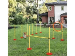 Online PawHut Hunde Agility Set 3-in-1-Training Inklusive Tasche
