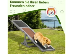 PawHut Hundewippe Hunde Agility Wippe