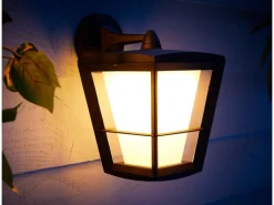 Philips Hue White & Color Amb. Econic LED-Laternenleuchte hängend