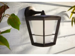 Philips Hue White & Color Amb. Econic LED-Laternenleuchte hängend