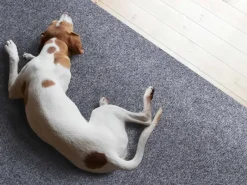 Sale Primaflor Sauberlauf Picollo GrauBlau 1,00m x 22,50m