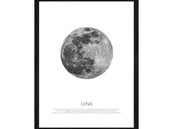 New Pro Art Bild Framed Art Blue moon 40 cm x 30 cm