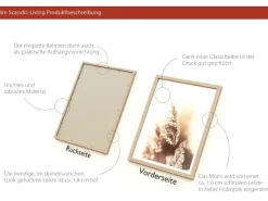 Sale Pro Art Bild Framed Art Dried Fiber 40 cm x 30 cm