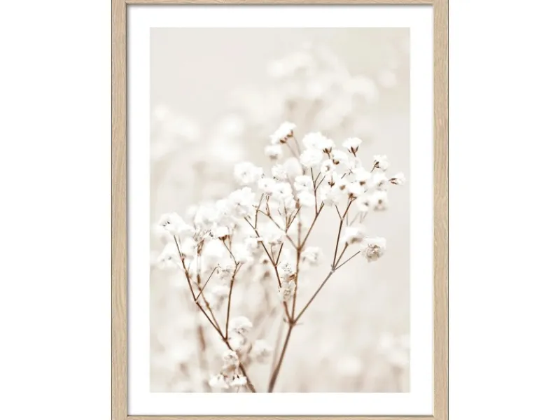 Pro Art Bild Framed Art Dried Fiber in the wind III 40 cm x 30 cm