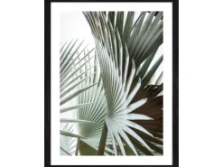 Pro Art Bild Framed Art Jungle Leaves III 40 cm x 30 cm
