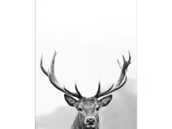 Pro Art Dekopanel Grey Deer Head III 40 cm x 30 cm