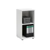 PROREGAL Aktenregal Tiger Small HxBxT 77 x 40 x 34 cm 2 Fächern Weiß