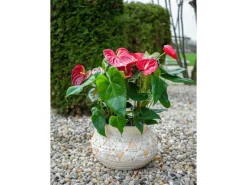 PROREGAL Blütentopf mit Mosaik, Hellbraun, Keramik, 36x36x23cm