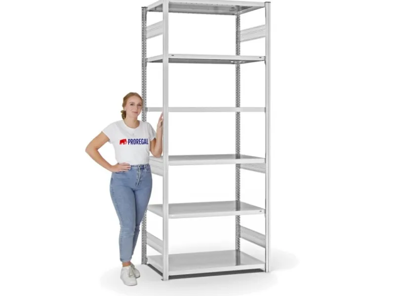 PROREGAL Fachbodenregal Stecksystem T-Profil Heavy-Duty Grundregal HxBxT 250 x 100 x 60 cm 6 Ebenen Fachlast 330 kg Beidseitig Nutzbar