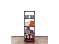 Online PROREGAL Kunststoffregal Big Grey Bear Tall HxBxT 180 x 60 x 46 cm Fachlast 160 kg Grau/Rot Grau-Rot