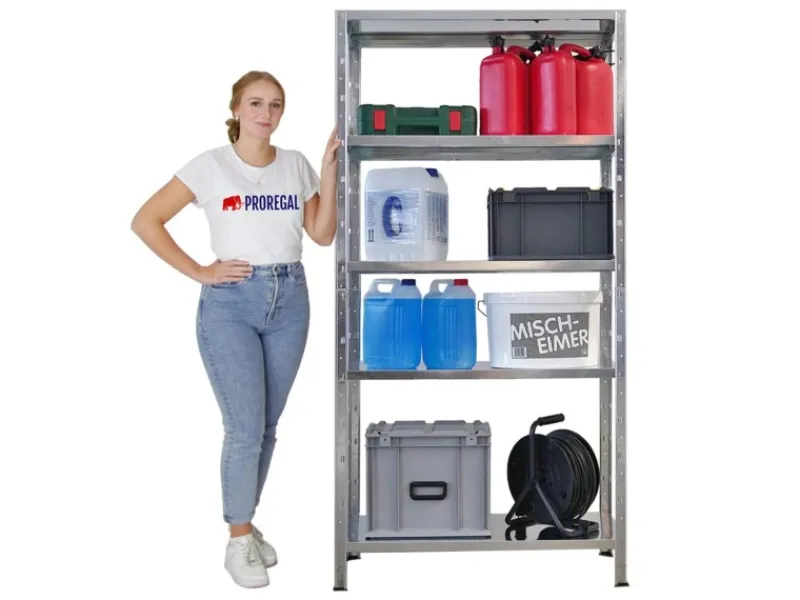 Online PROREGAL Mega Deal 2x Schwerlastregal Ares HxBxT 180x90x40cm Fachlast 125 kg Verzinkt