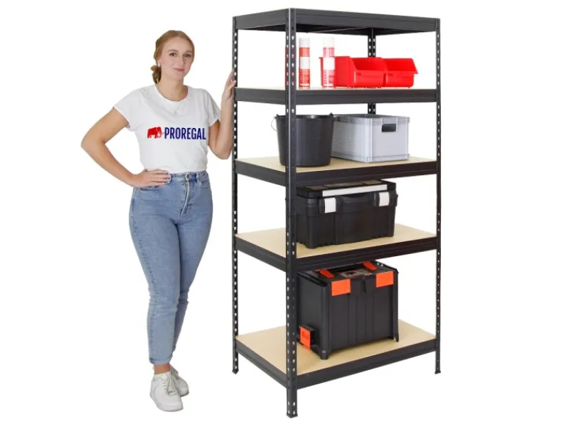 PROREGAL Schwerlastregal Rivet HxBxT 180 x 90 x 60 cm Fachlast 250 kg Innovatives Stecksystem