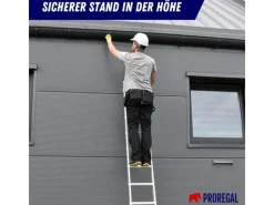 PROREGAL Sprossen-Anlegeleiter Economy Plus Ohne Traverse 5 Sprossen Arbeitshöhe 2,43 m Traglast 150 kg